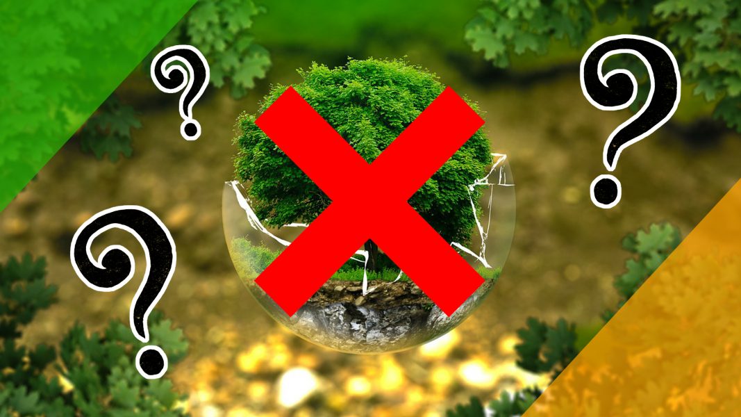 Les arbres sont ils une solution contre le réchauffement climatique ?